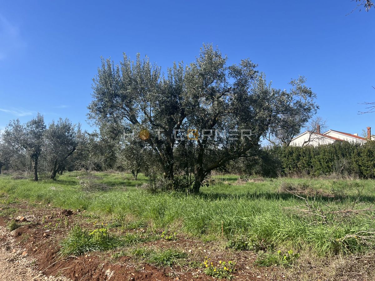 Štinjan, penthouse, 3 camere, ampia terrazza, vista mare, a 3 minuti in auto dalla spiaggia di Puntižela!