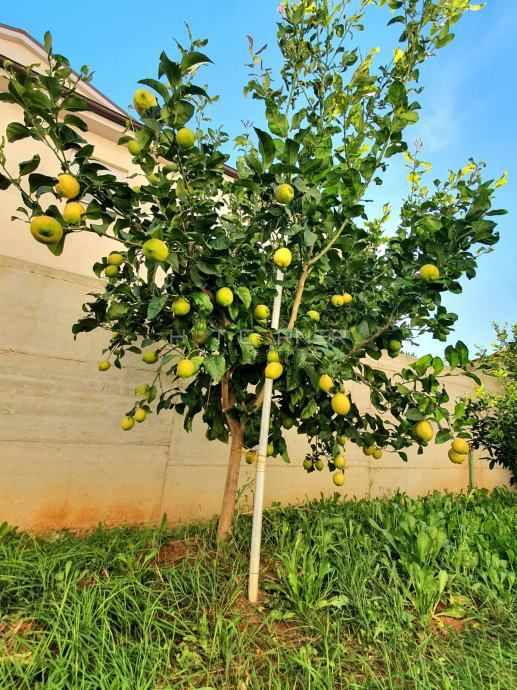 Appartamento Šijana, Pula, 200m2