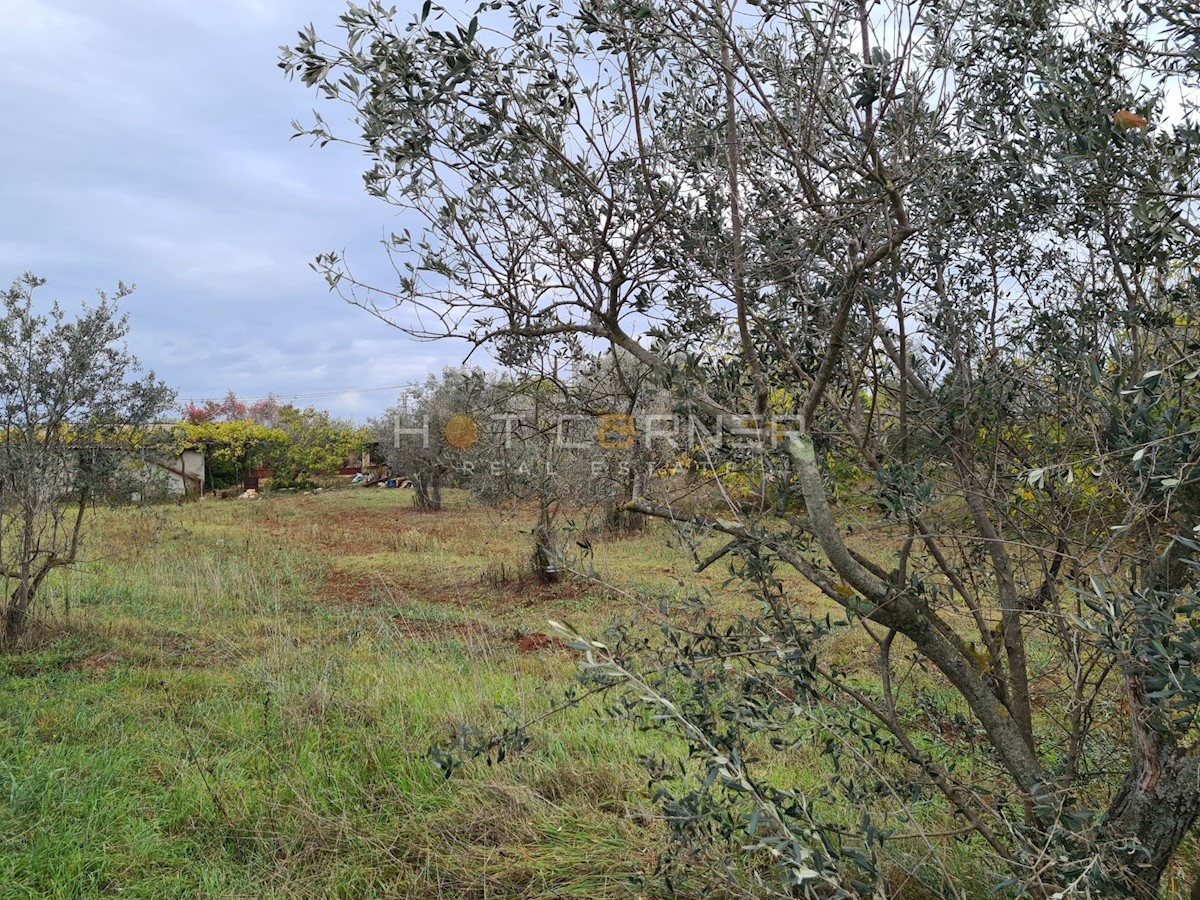 Casa Fažana, 3.560m2