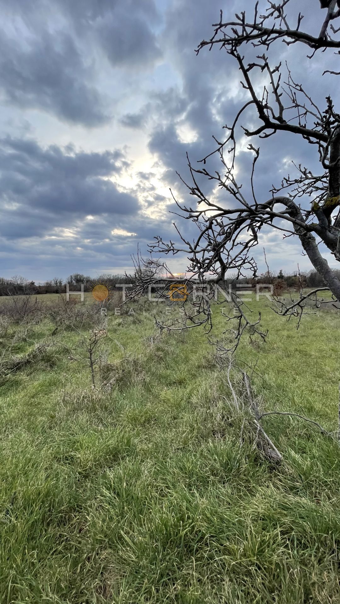 Terreno rurale Marčana, 5060 m2