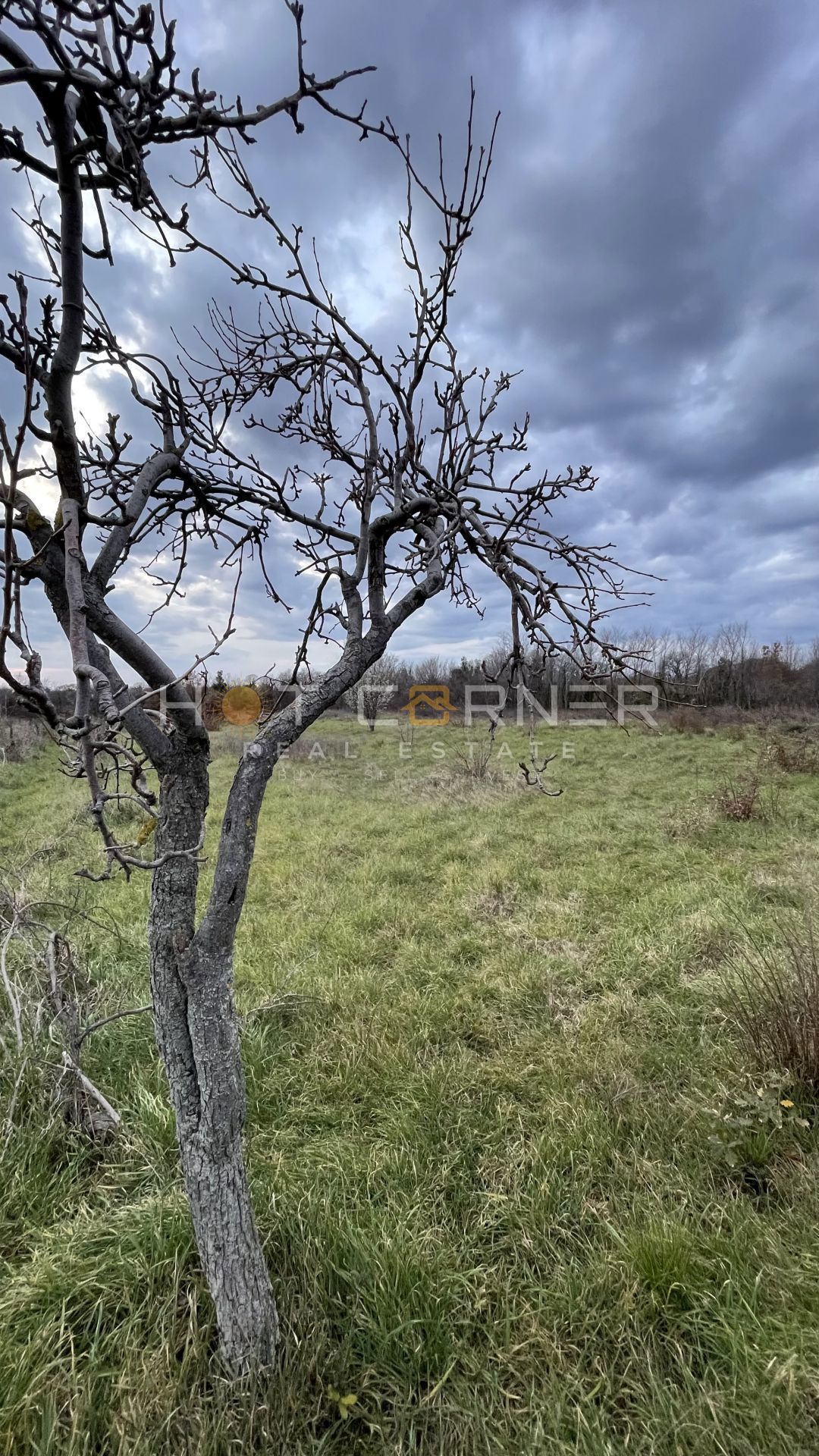 Terreno rurale Marčana, 5060 m2