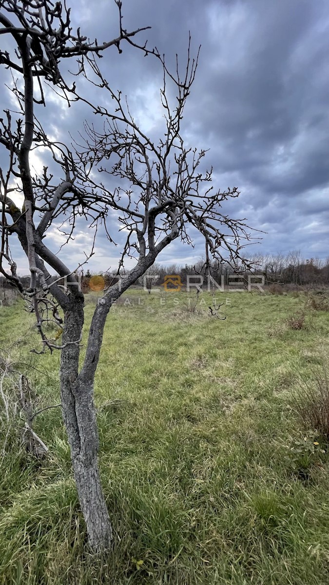 Terreno rurale Marčana, 5060 m2