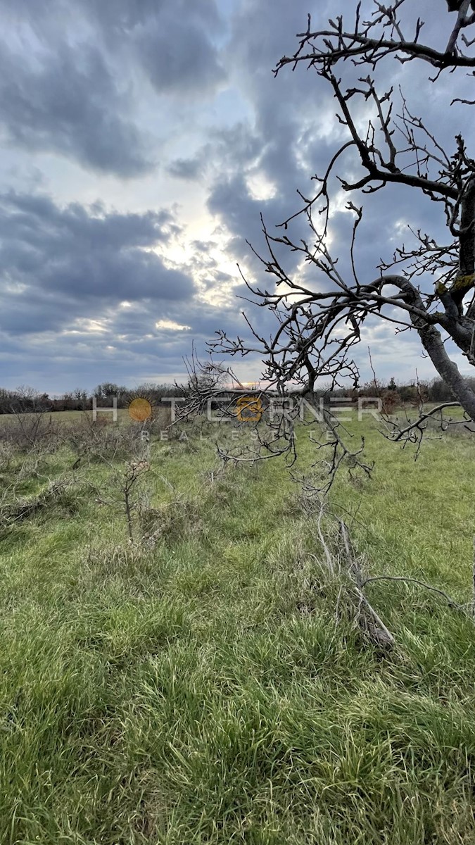 Terreno rurale Marčana, 5060 m2