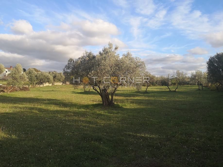 Fažana, terreno per la costruzione di una villa unifamiliare, vista mare, 500 m dalla spiaggia