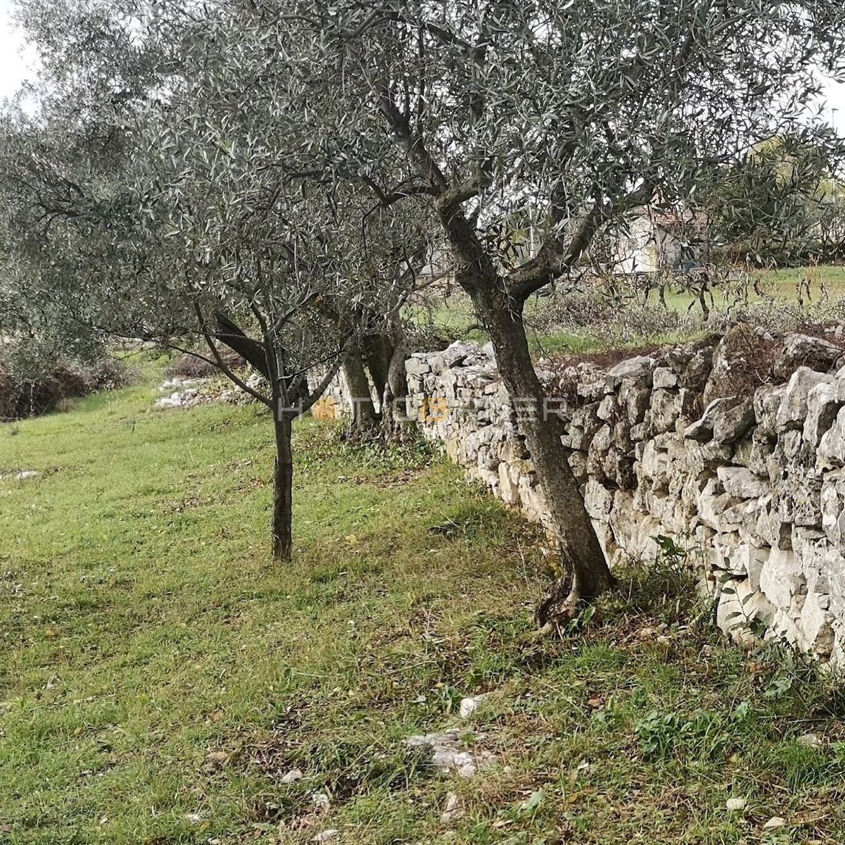 Fažana, terreno per la costruzione di una villa unifamiliare, vista mare, 500 m dalla spiaggia