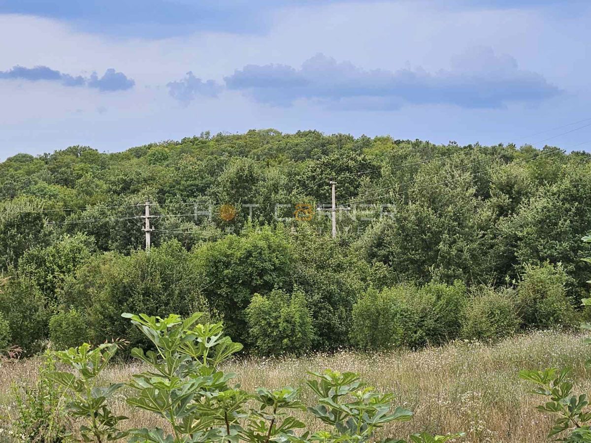 Terreno agricolo Vrsar, 6.600m2