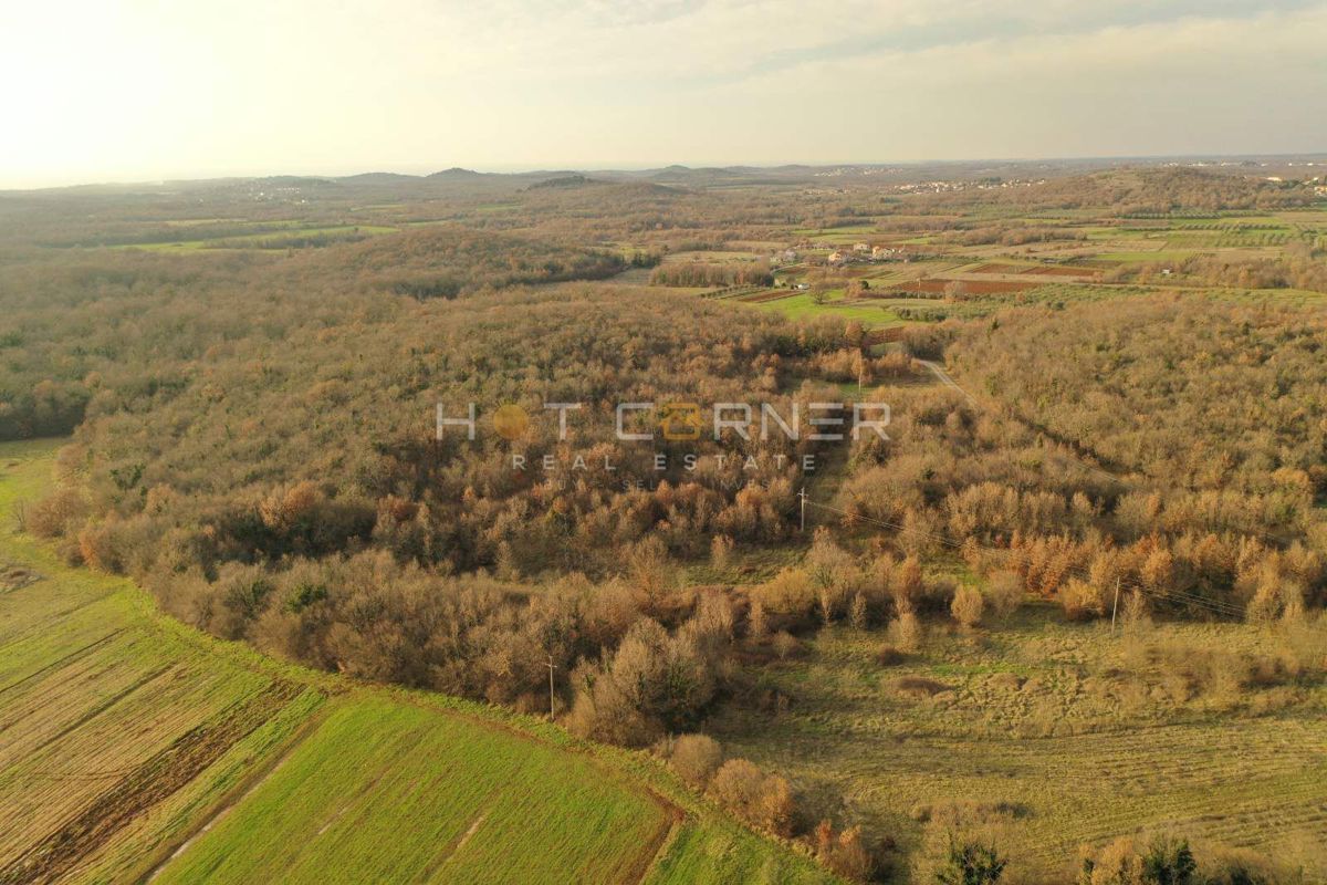 Terreno agricolo Vrsar, 6.600m2