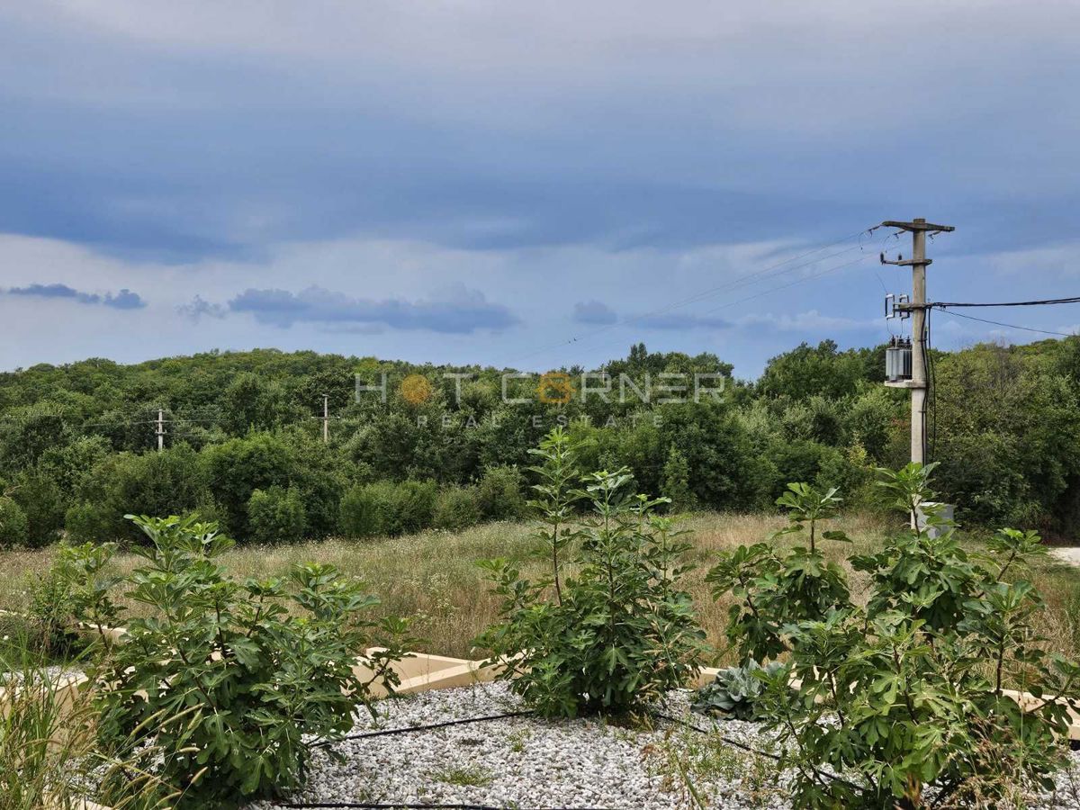 Terreno agricolo Vrsar, 6.600m2