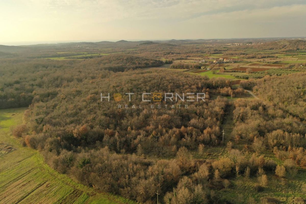 Terreno agricolo Vrsar, 6.600m2