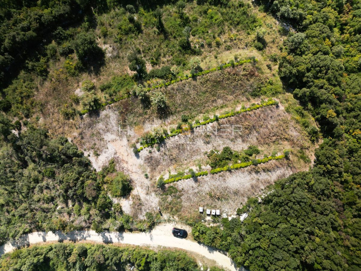 Terreno con ulivi, bosco e pascolo