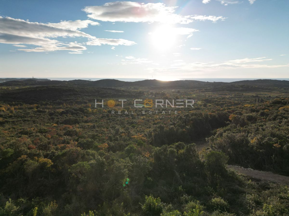 Bosco di 15.674 m² vicino a Rovigno