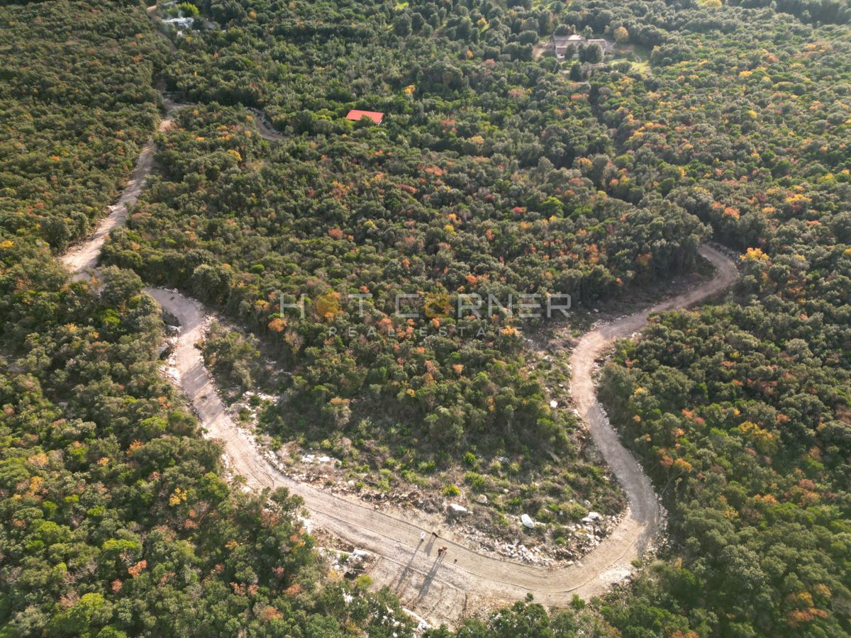 Bosco di 15.674 m² vicino a Rovigno