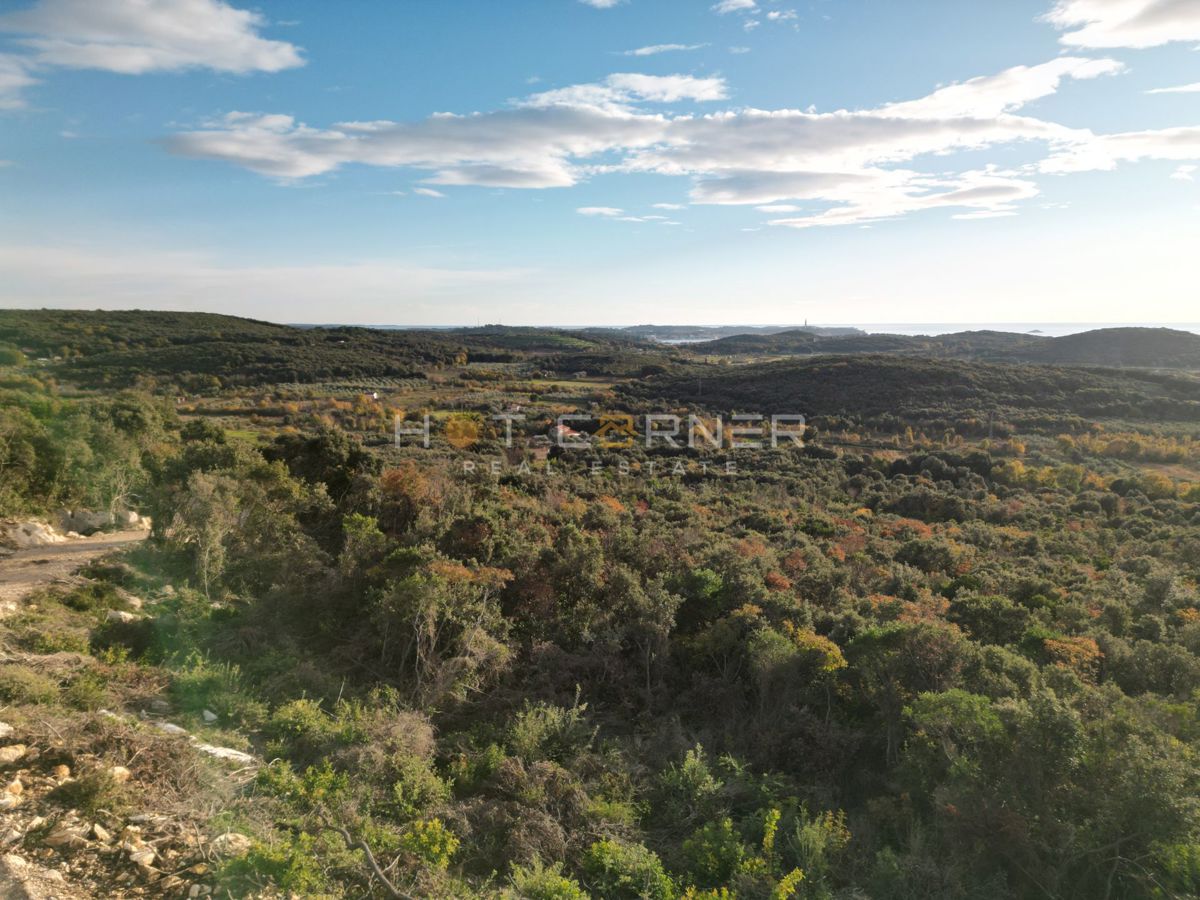 Bosco di 15.674 m² vicino a Rovigno