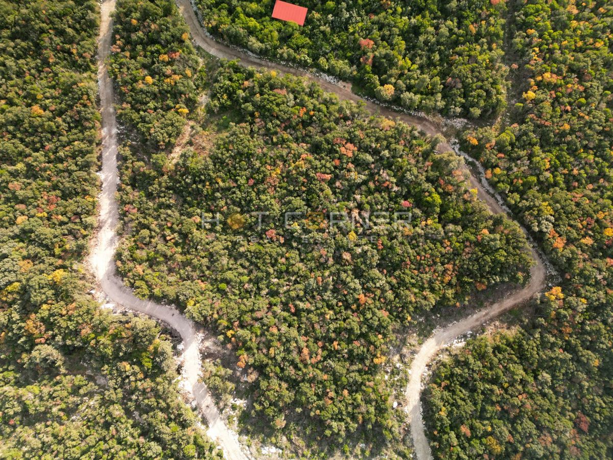 Bosco di 15.674 m² vicino a Rovigno