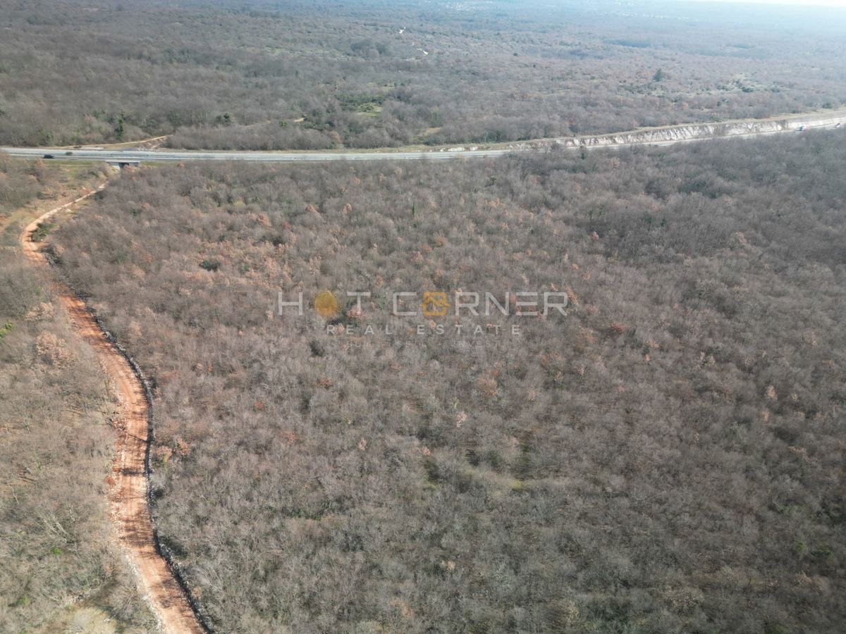 50.848 m² bosco e prati – solo 3,5 €/m²!