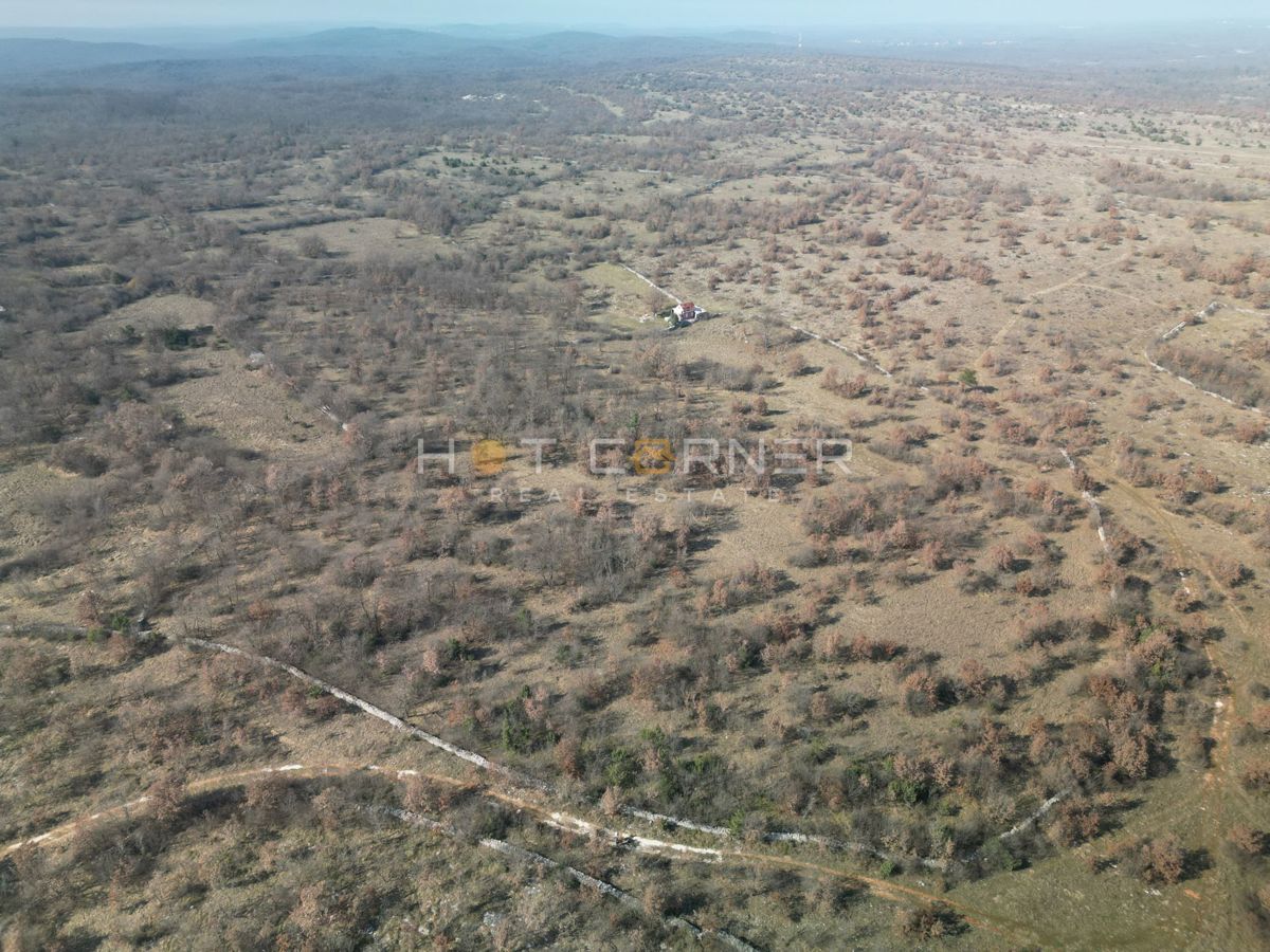 Terreno agricolo istriano 20.742 m² – solo 4 €/m²!