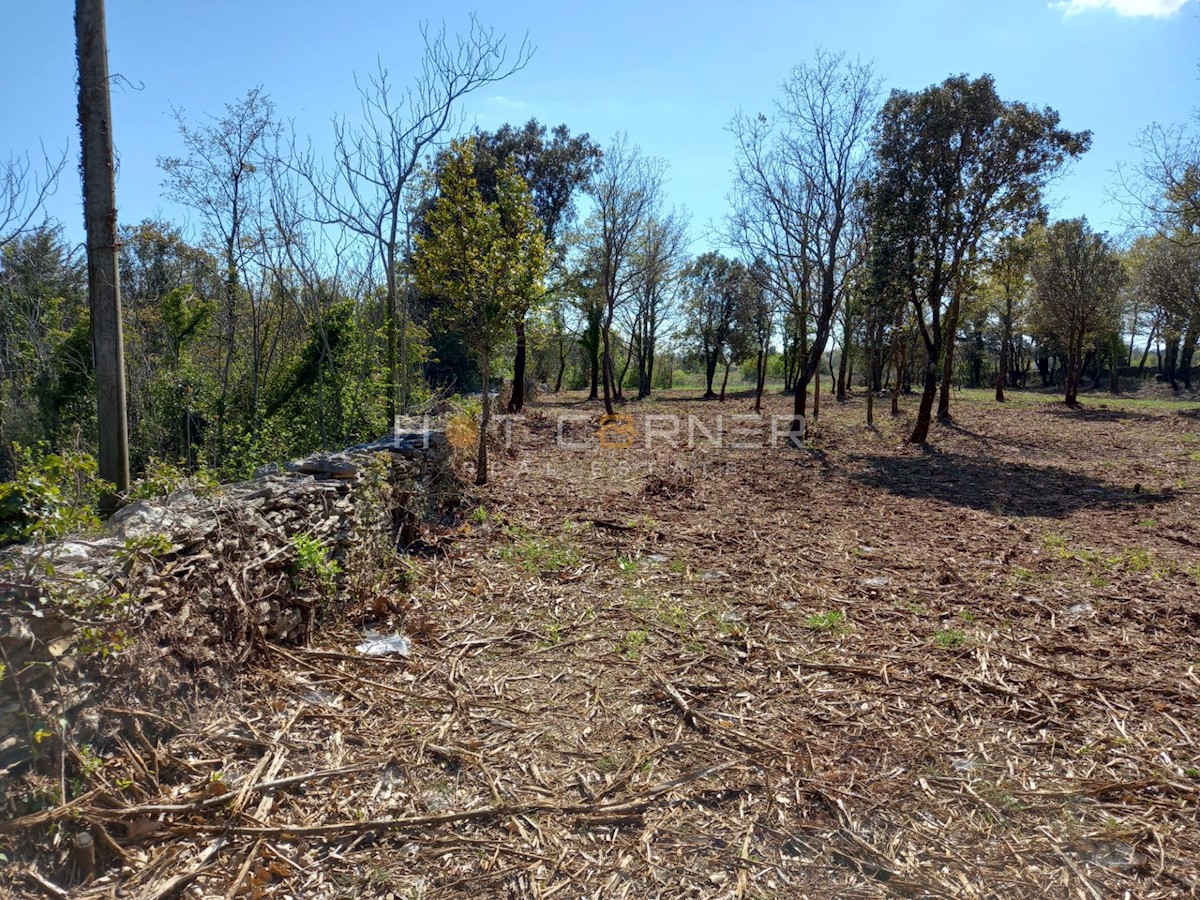 Terreno Rakalj, Marčana, 10.150m2