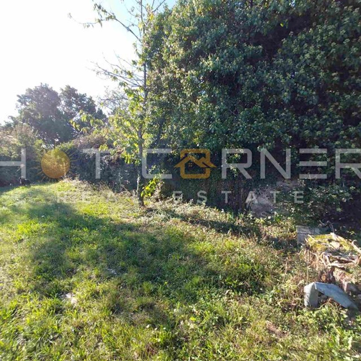 Gračišće, Istria: incantevole proprietà, 7100 m2, con casa in pietra da ristrutturare  