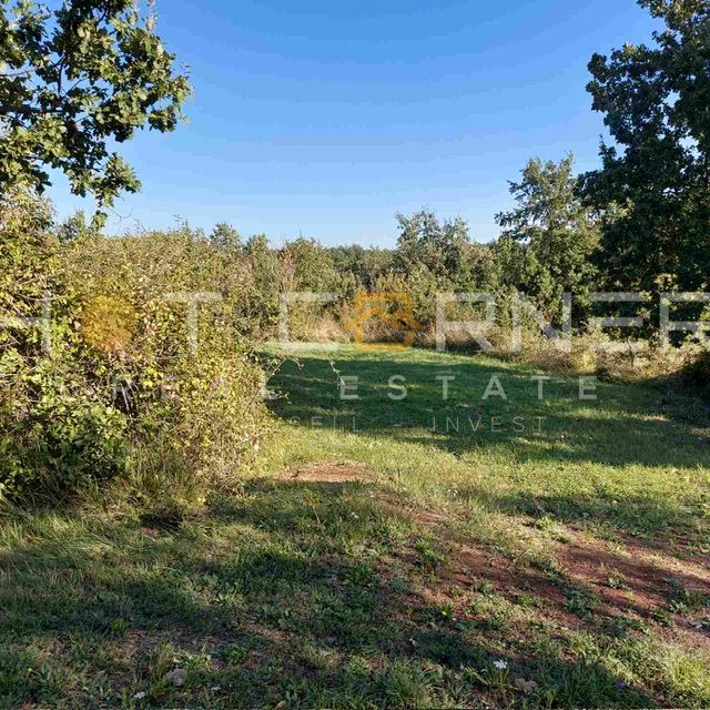 Gračišće, Istria: incantevole proprietà, 7100 m2, con casa in pietra da ristrutturare  