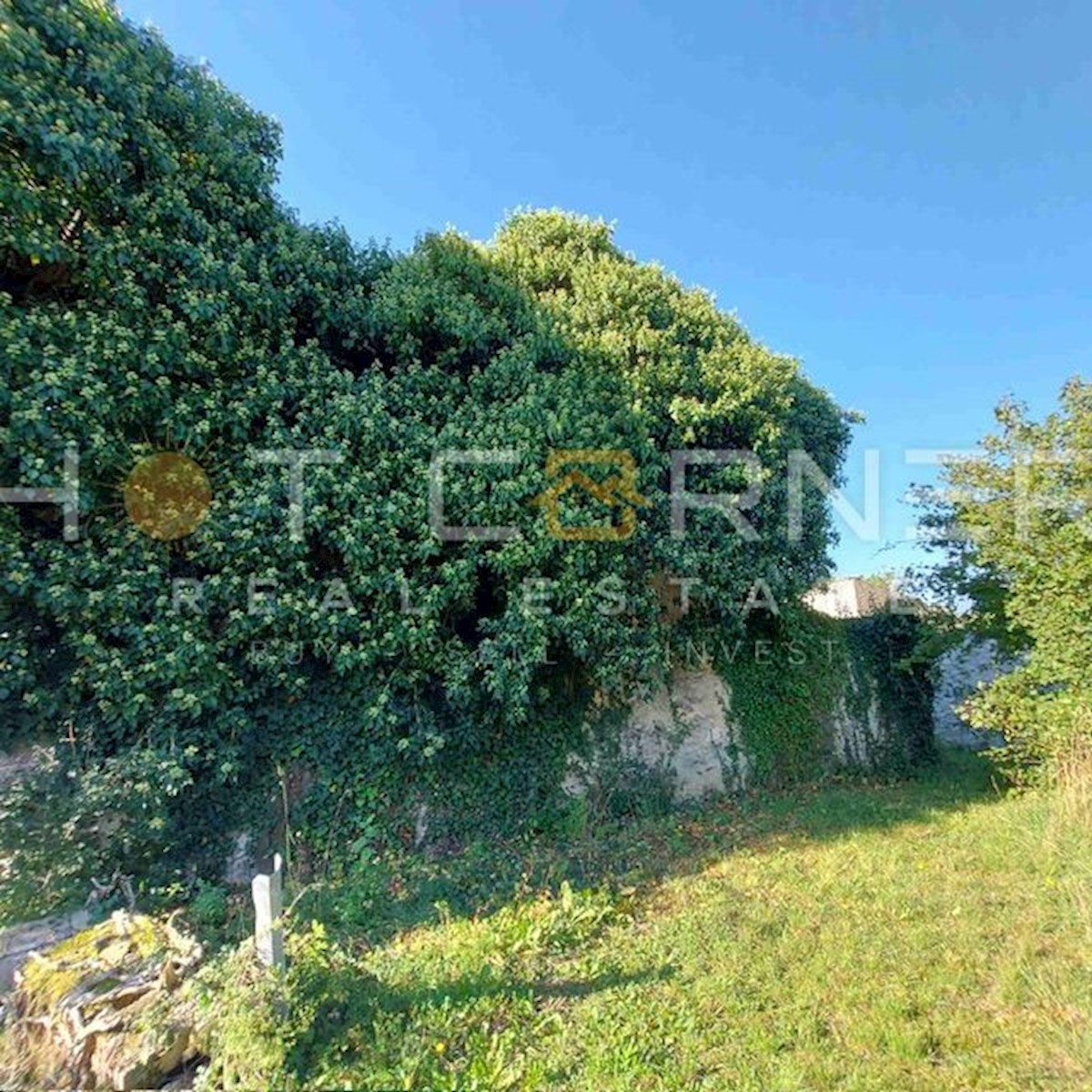 Gračišće, Istria: incantevole proprietà, 7100 m2, con casa in pietra da ristrutturare  