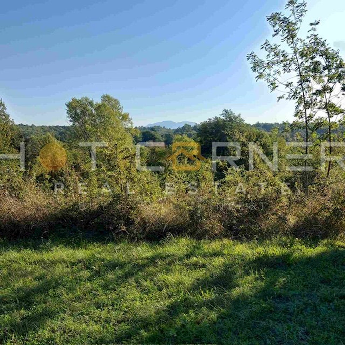 Gračišće, Istria: incantevole proprietà, 7100 m2, con casa in pietra da ristrutturare  