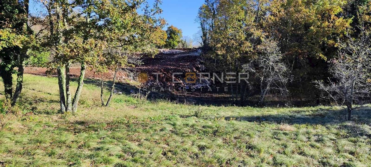 Terreno edificabile Rojnići, Barban, 5.500m2