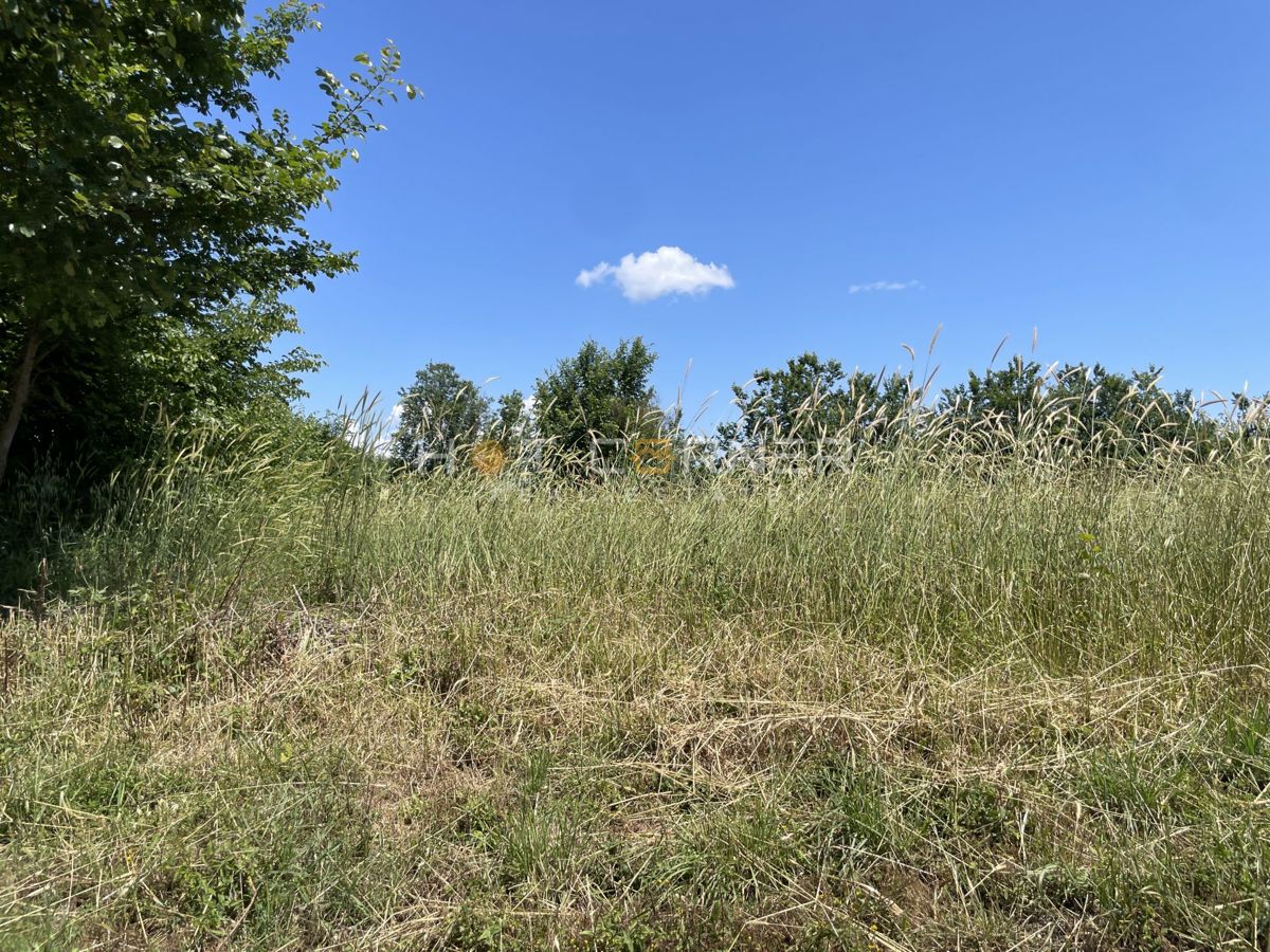 Terreno agricolo Vodnjan, 1.600m2