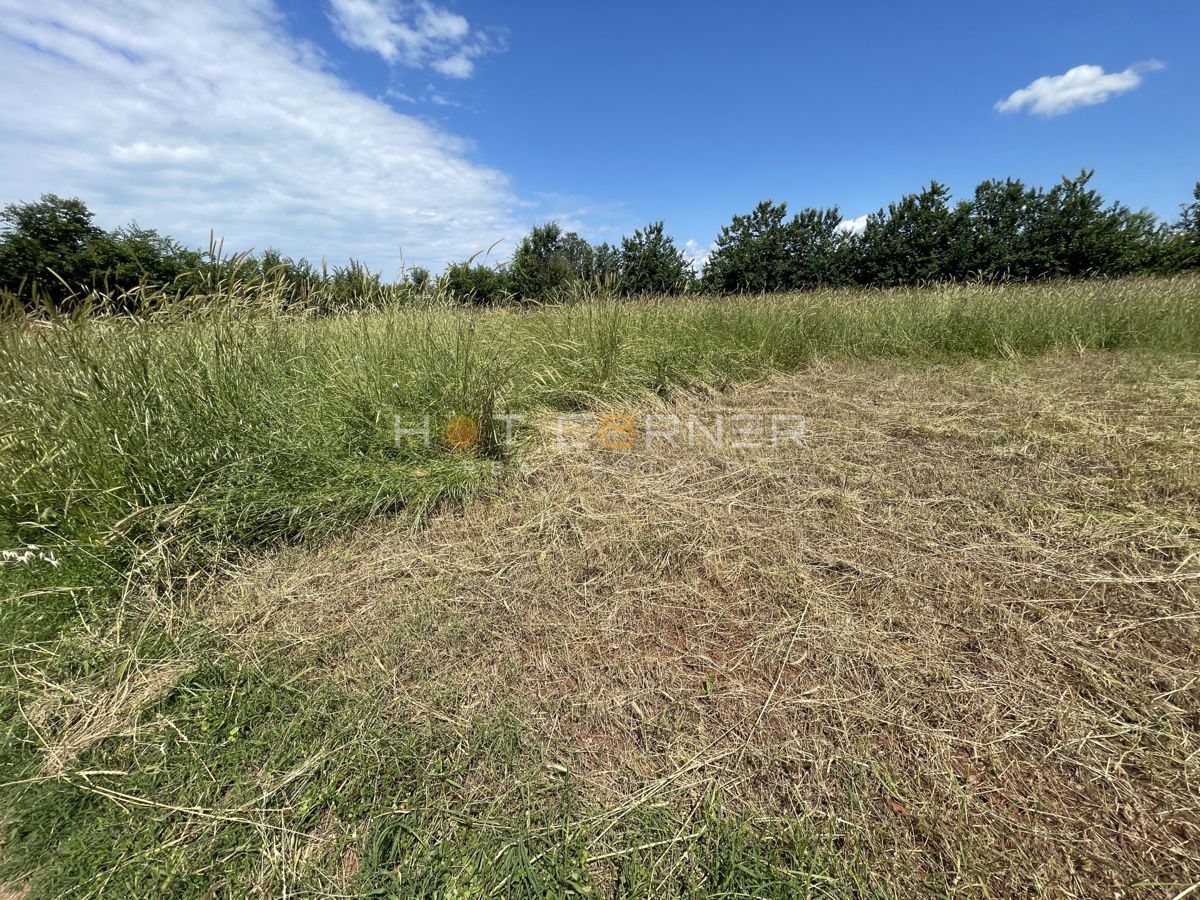 Terreno agricolo Vodnjan, 1.600m2
