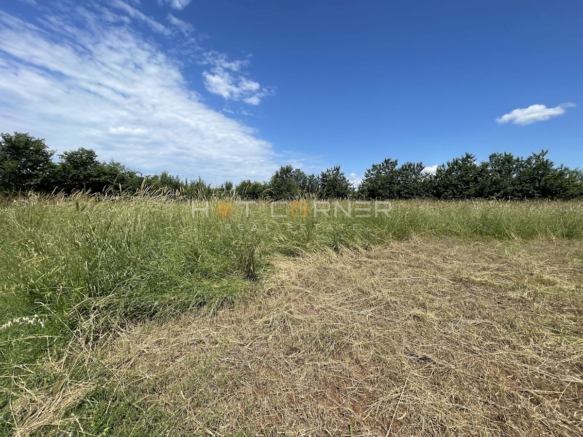 Terreno agricolo Vodnjan, 1.600m2