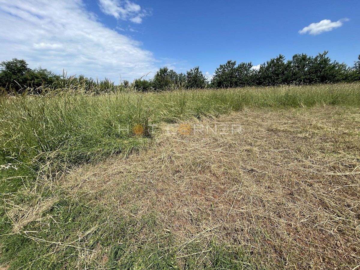 Terreno agricolo Vodnjan, 1.600m2