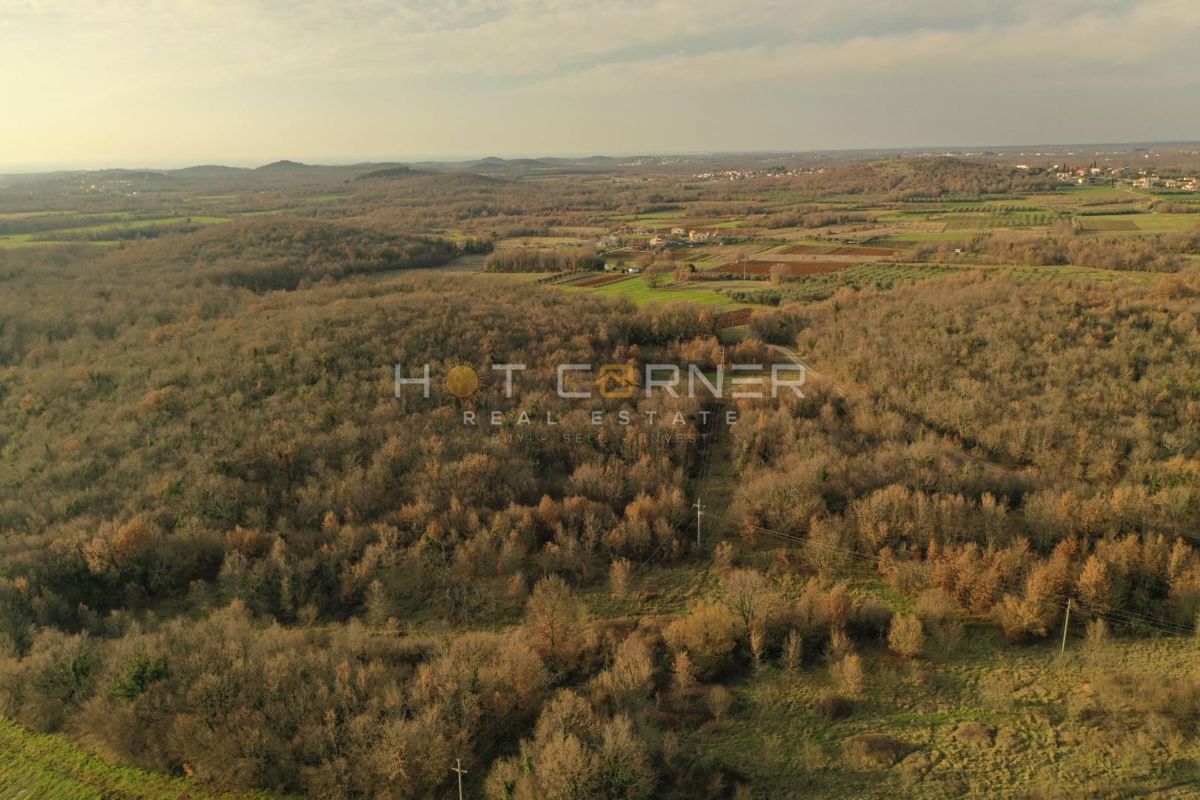Terreno agricolo Vrsar, 36.000m2