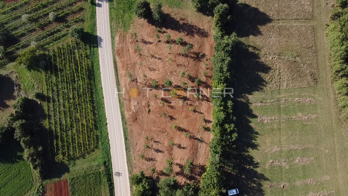 Splendido Terreno Edificabile con Vista Mare e Progetto per una Villa Moderna (terreno “E” – VILLA EMILY) 