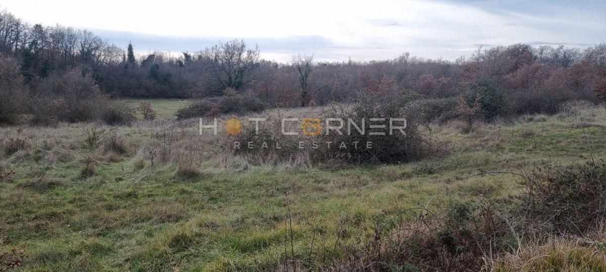 Occasione Straordinaria! Poreč, dintorni, terreno agricolo, 55008 m² per 70.000 €