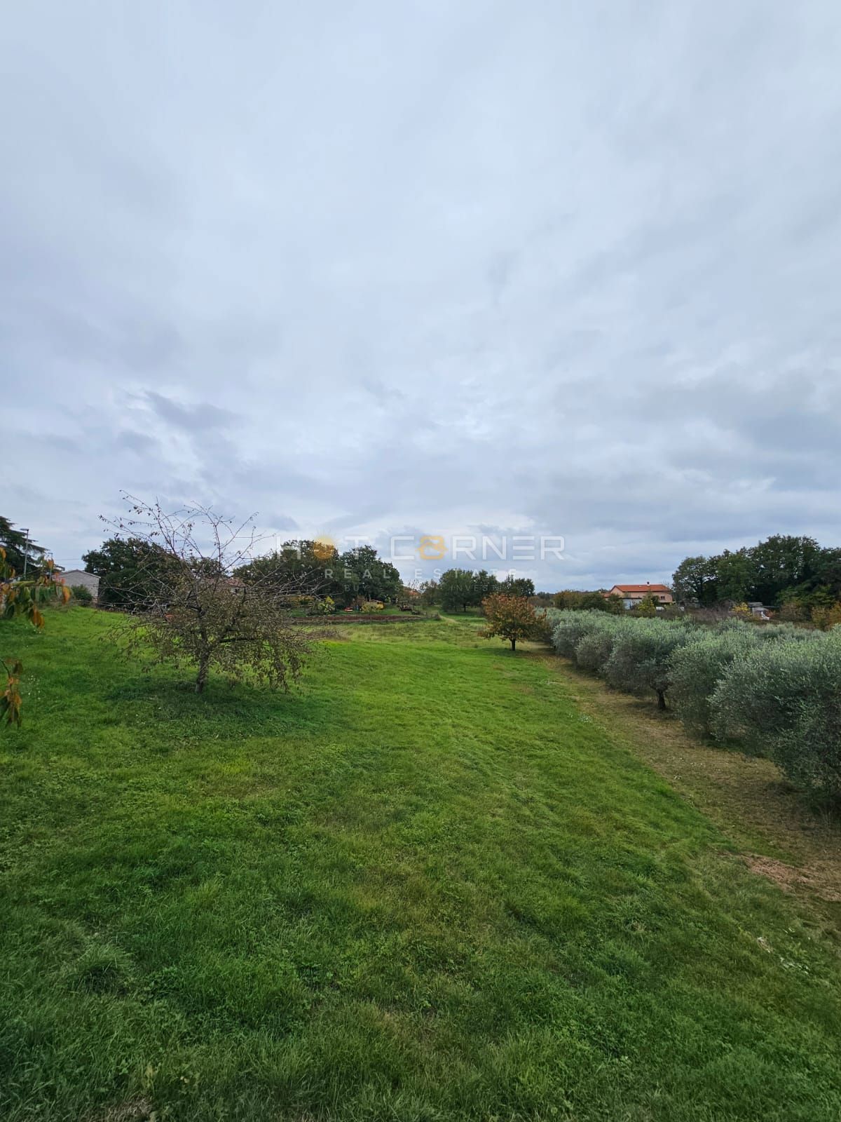 Bellissimo terreno edificabile vicino a Rovigno – 5.060 m²