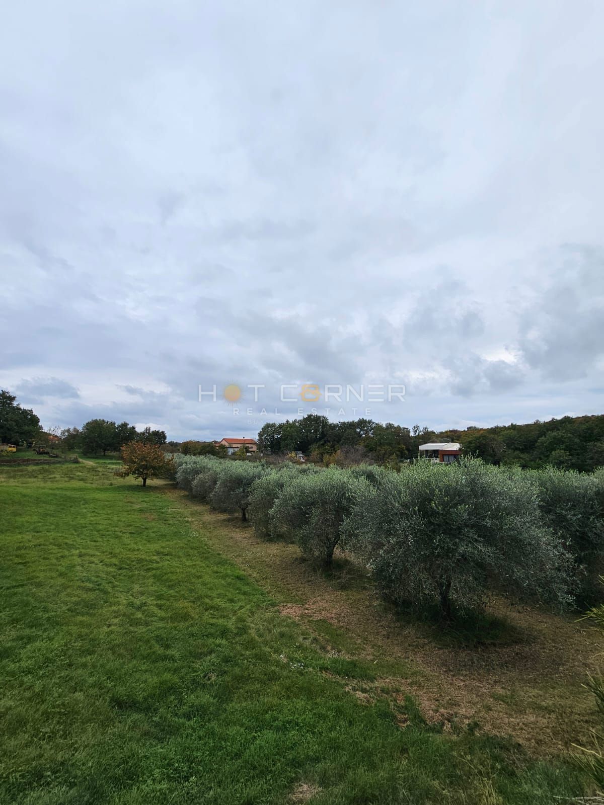 Bellissimo terreno edificabile vicino a Rovigno – 5.060 m²