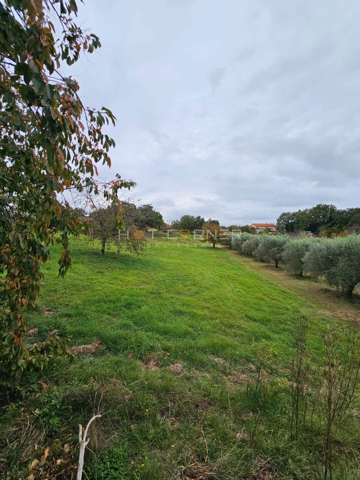 Bellissimo terreno edificabile vicino a Rovigno – 5.060 m²