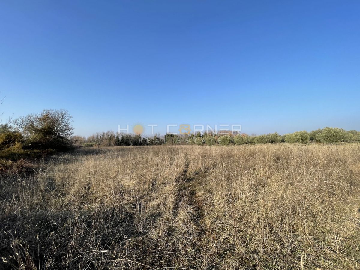Tar (Poreč), terreno agricolo 7500m2