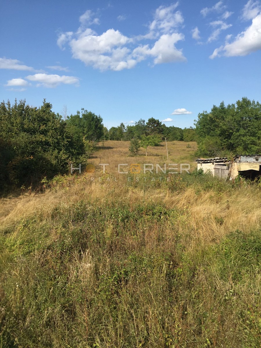 Oprtalj, terreno edificabile di 2400 m2 + agricolo di 10 ettari, casa istriana 