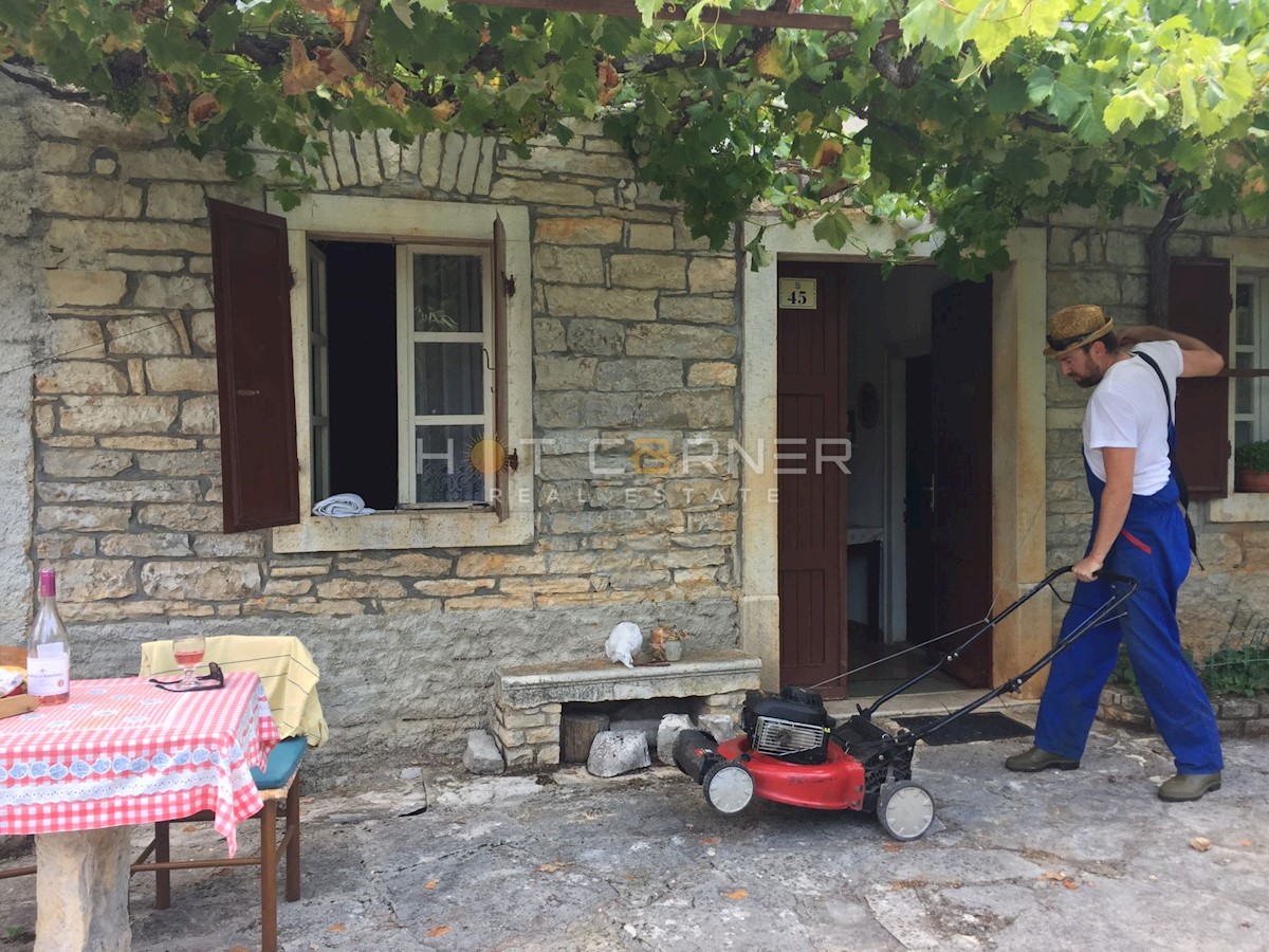 Oprtalj, terreno edificabile di 2400 m2 + agricolo di 10 ettari, casa istriana 