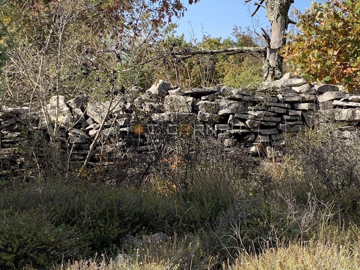 Ampio terreno rurale con strada di accesso, Svetvinčenat