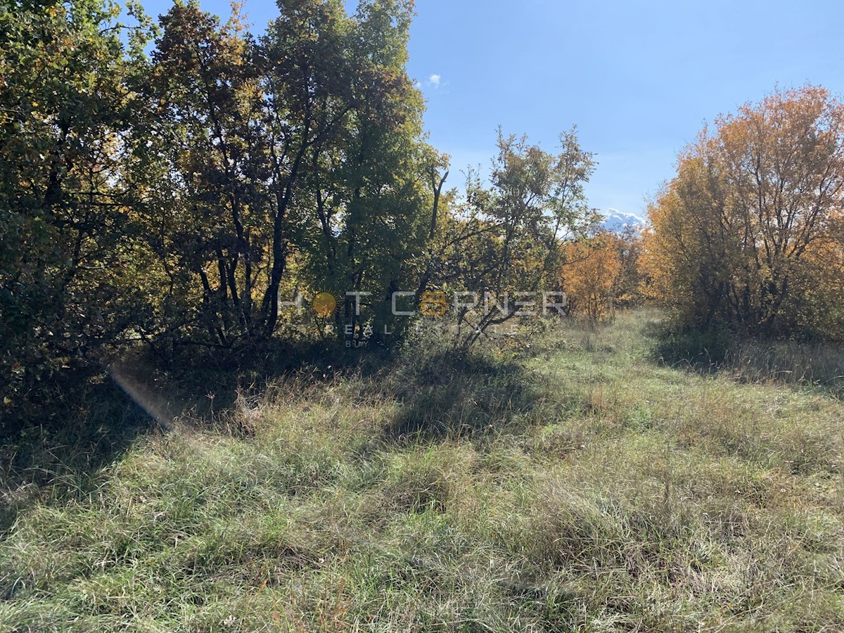 Ampio terreno rurale con strada di accesso, Svetvinčenat