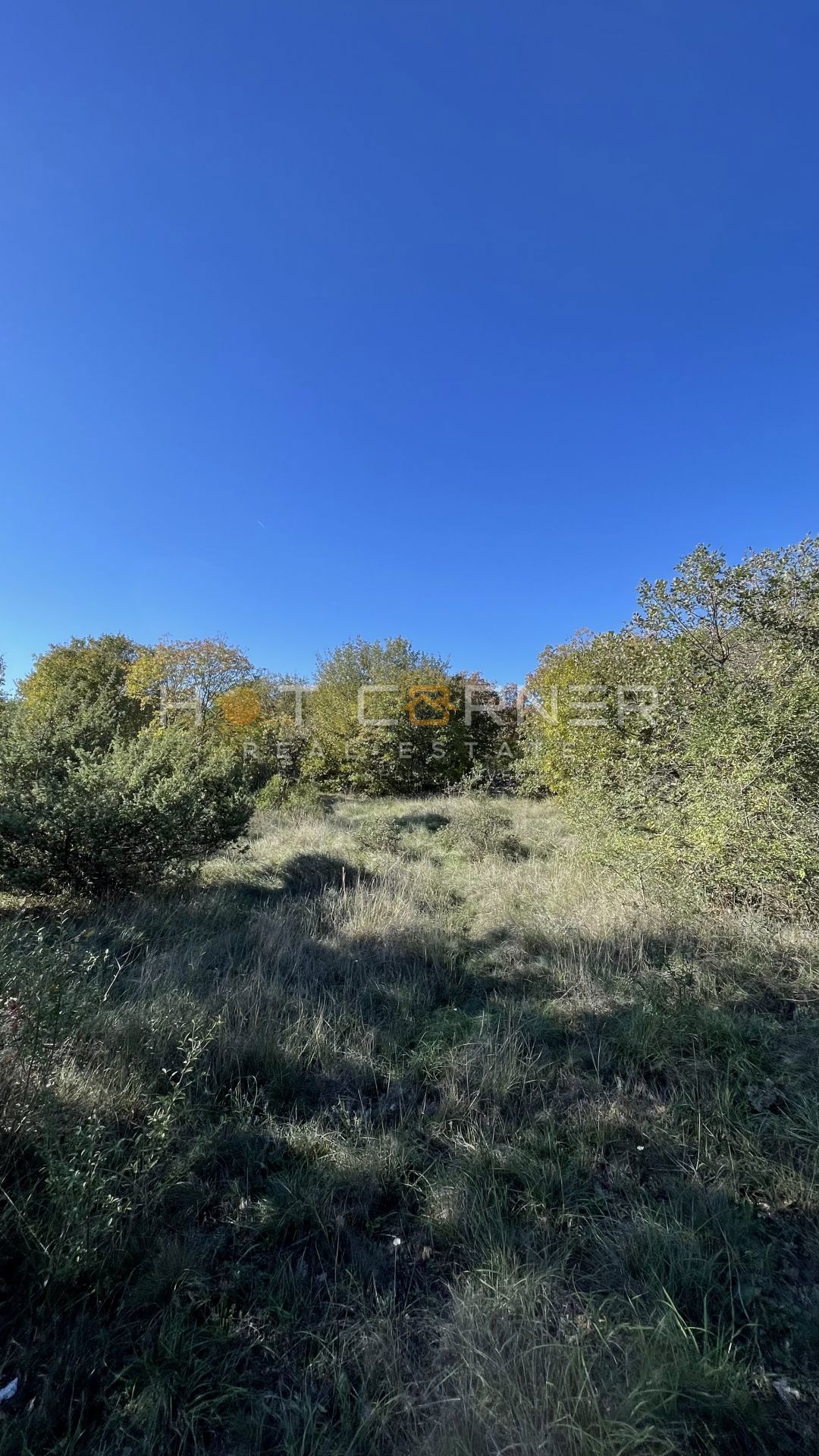 Ampio terreno rurale con strada di accesso, Svetvinčenat