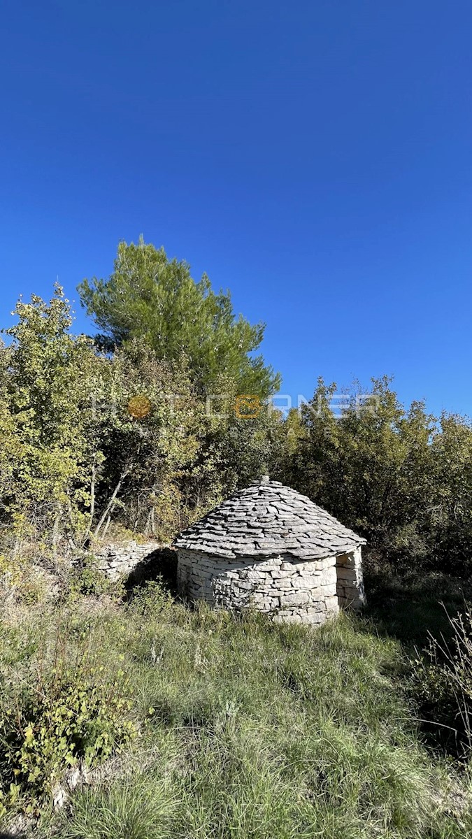 Ampio terreno rurale con strada di accesso, Svetvinčenat