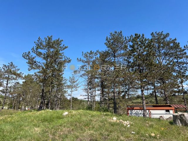Motovun, resort magico su 3,1 ettari con cascata, per la costruzione di un complesso glamping o alberghiero