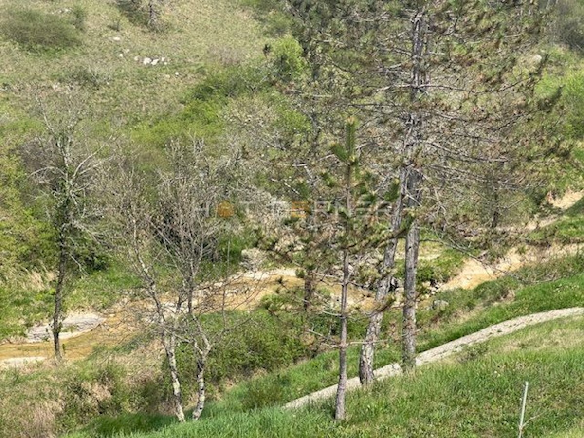 Motovun, resort magico su 3,1 ettari con cascata, per la costruzione di un complesso glamping o alberghiero