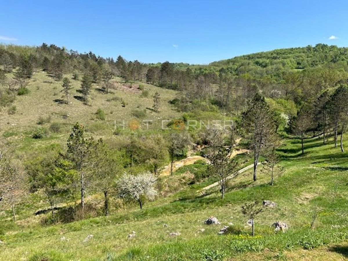 Motovun, resort magico su 3,1 ettari con cascata, per la costruzione di un complesso glamping o alberghiero