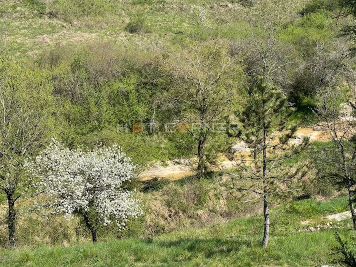 Motovun, resort magico su 3,1 ettari con cascata, per la costruzione di un complesso glamping o alberghiero