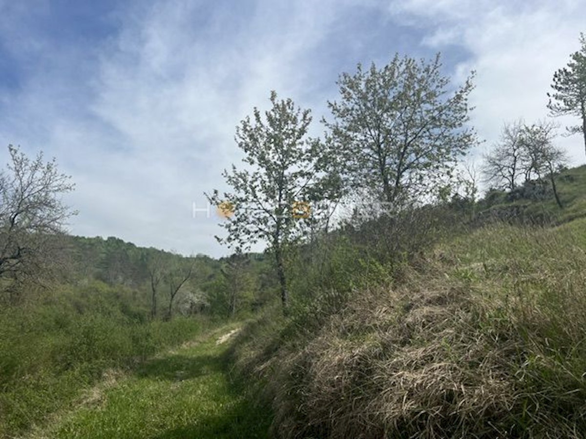 Motovun, resort magico su 3,1 ettari con cascata, per la costruzione di un complesso glamping o alberghiero