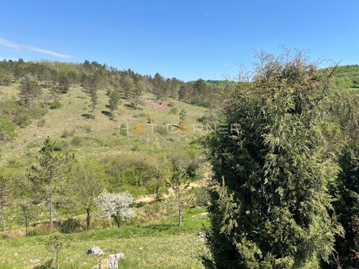 Motovun, resort magico su 3,1 ettari con cascata, per la costruzione di un complesso glamping o alberghiero