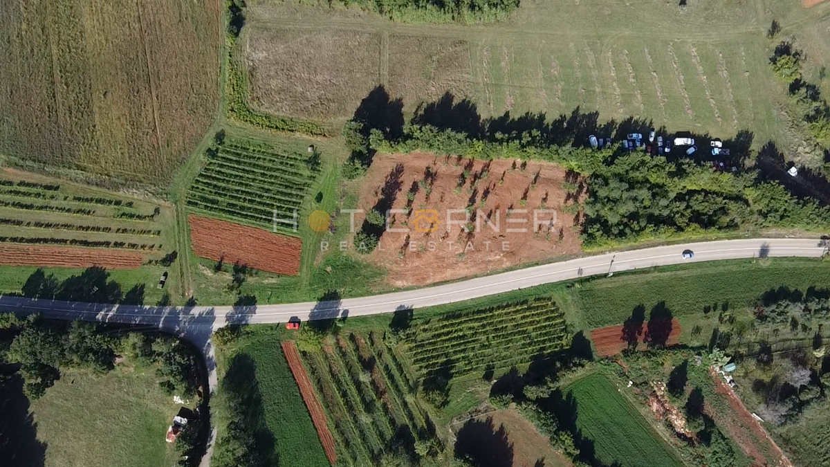 Splendido Terreno Edificabile con Vista Mare e Progetto per una Villa Moderna (terreno “D” – VILLA DIANA) 